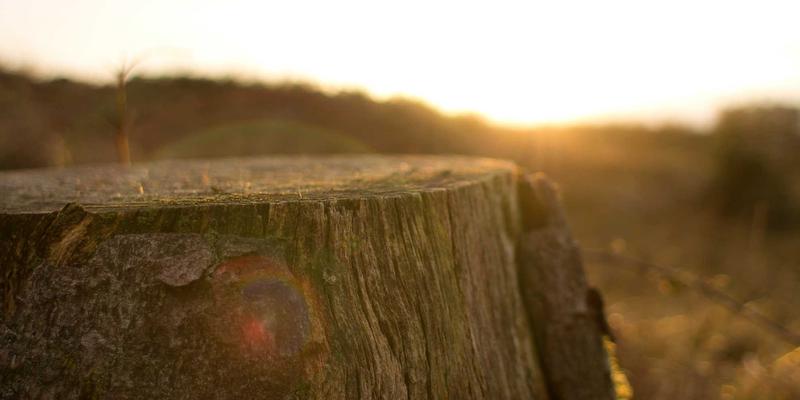 安徽新联实务指南：企业信息化中开源软件的合规使用与知识产权风险全解析