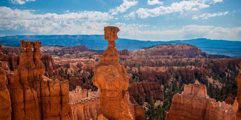 安徽新联律师深度解析:SaaS合同审查与数据主权风险防范——网站建设与APP开发必读指南