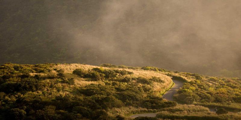 安徽新联：深耕本土的网络科技先锋，如何以APP开发重塑江淮数字经济生态？