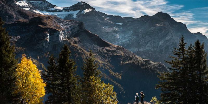 当刑事辩护遇上网络科技:安徽新联律师事务所如何以技术解决方案重塑辩护优势