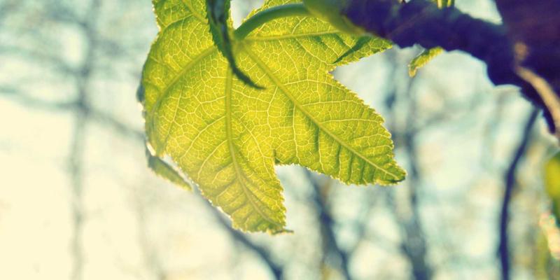 破局数字竞争迷雾：从安徽新联视角看电商平台‘二选一’、大数据杀熟的法律规制与企业应对